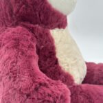 lotso2